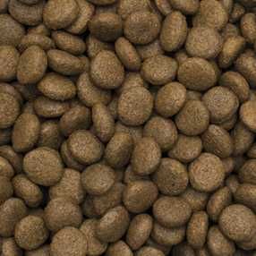 Karma sucha dla psów z jagnięciną M&L 12kg TROPIDOG PREMIUM LAMB