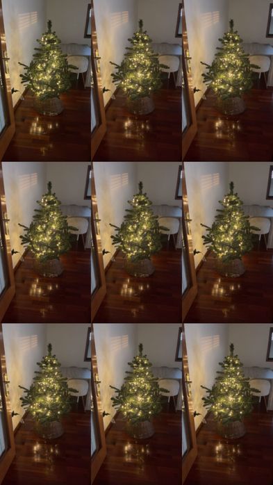 Árvore natal super gira