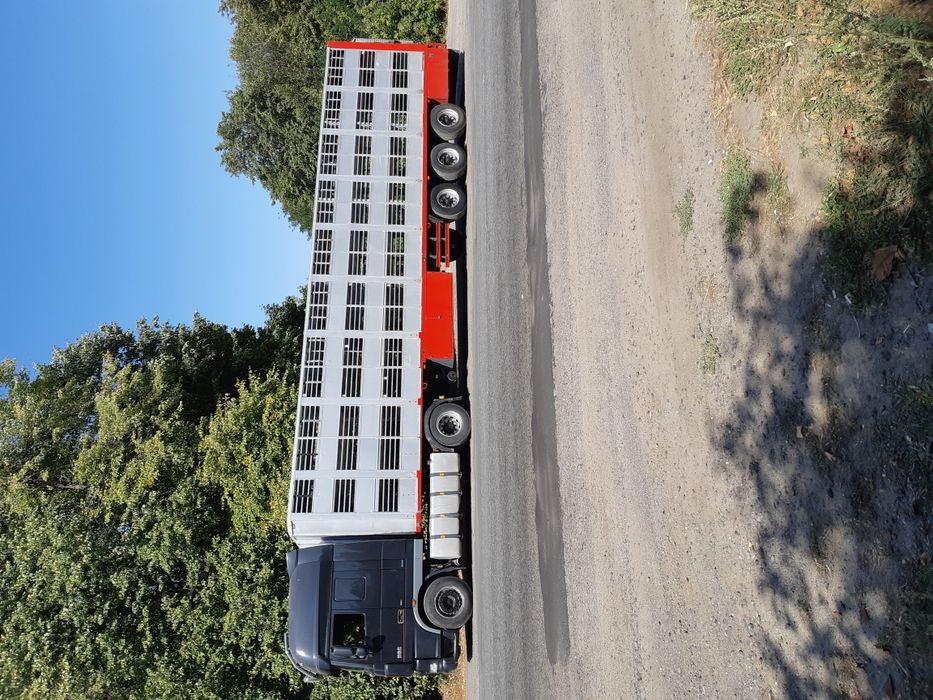 услуги 3х этажного скотовоза#перевозка ВРХ свиней,поросят,овец,индюков