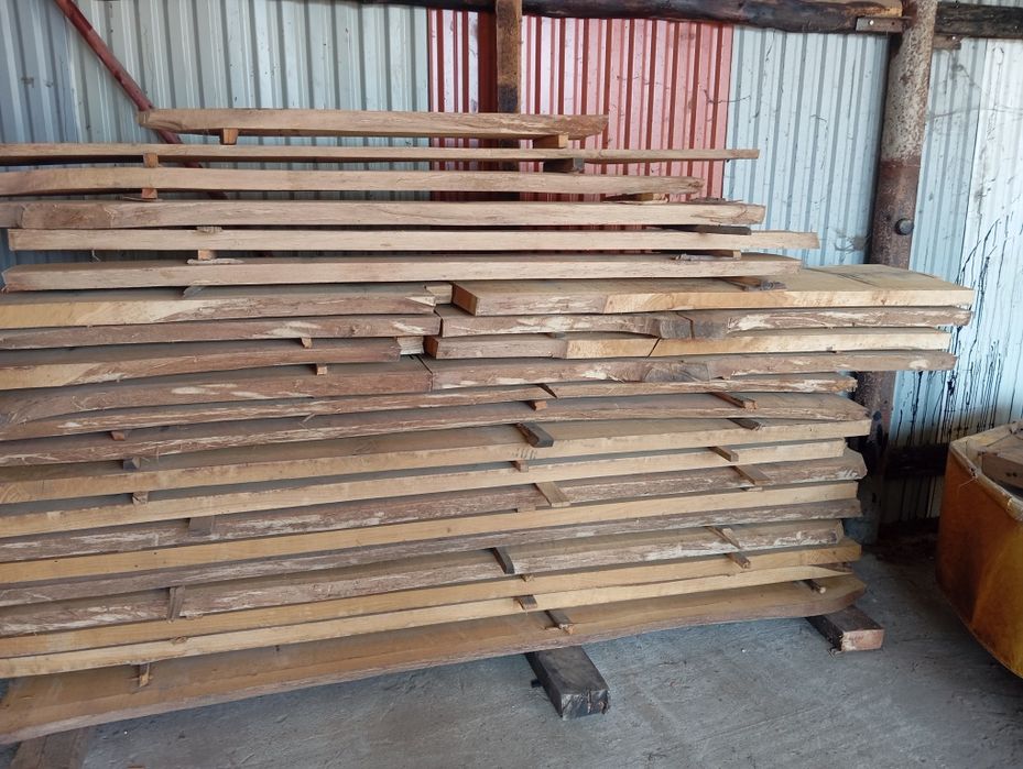 Blaty Dębowe dobra cena