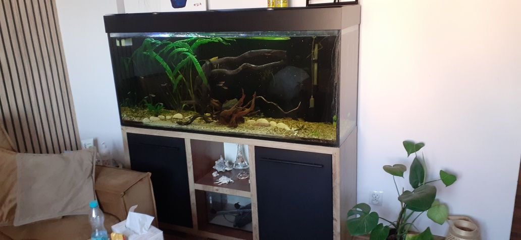 Akwarium z życiem 140x60x40
