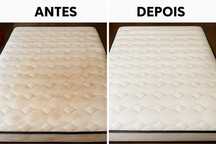 Higienização Profissional de Sofás, Colchões e Estofos