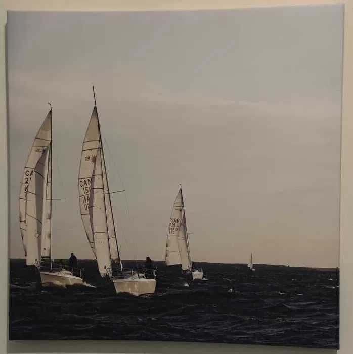 Colecção de 12 Quadros