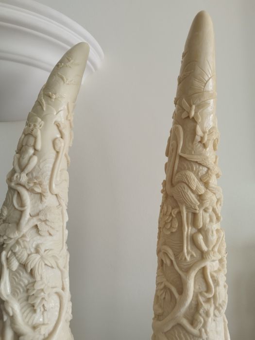 Dentes de elefante (imitação) em marfinite em base de madeira