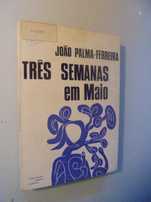 Ferreira (João Palma);Três Semanas em Maio