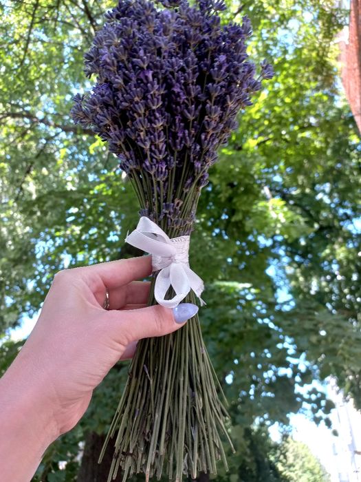 Лаванда букетики
