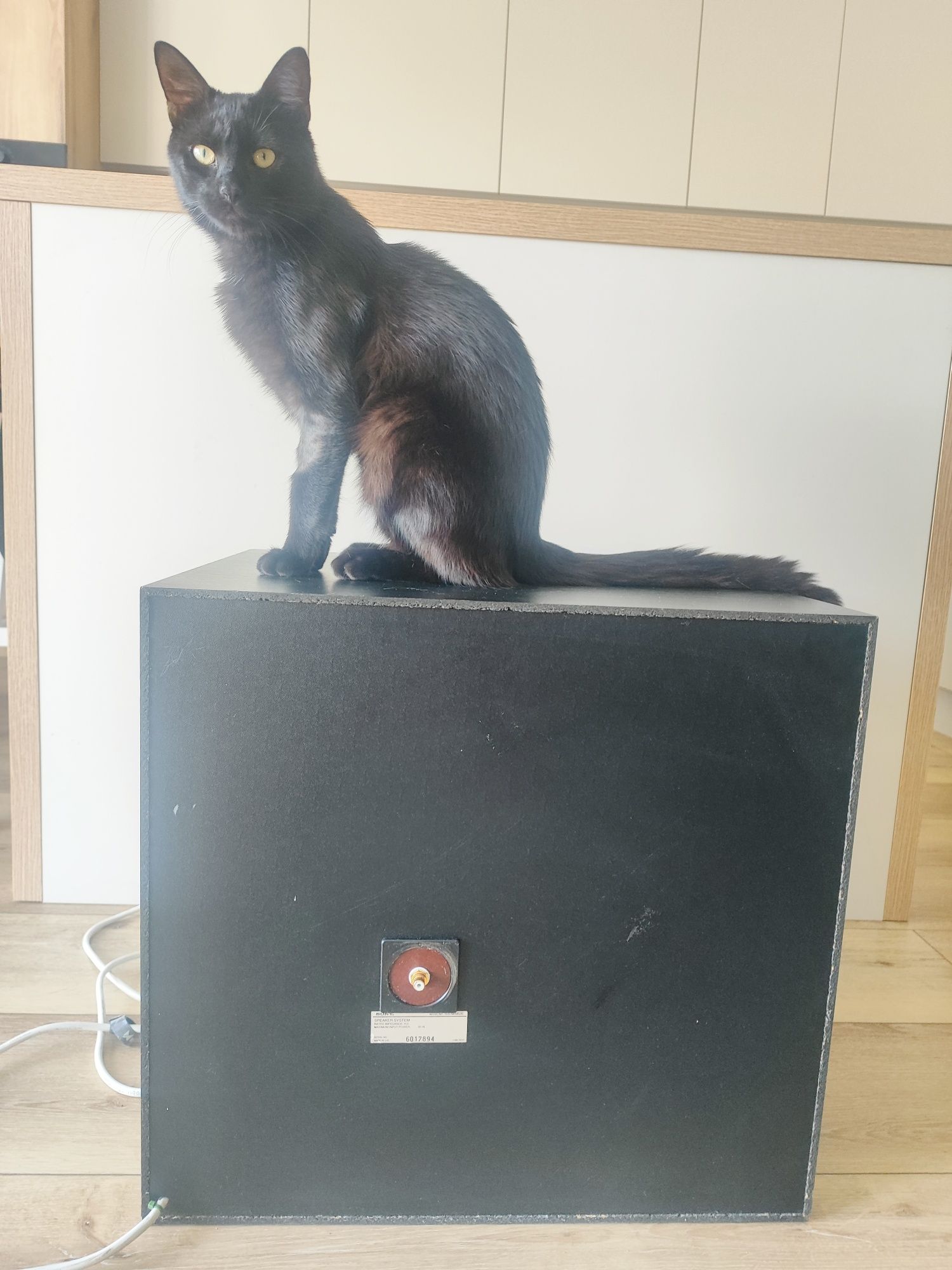 Subwoofer Sony SSW662E