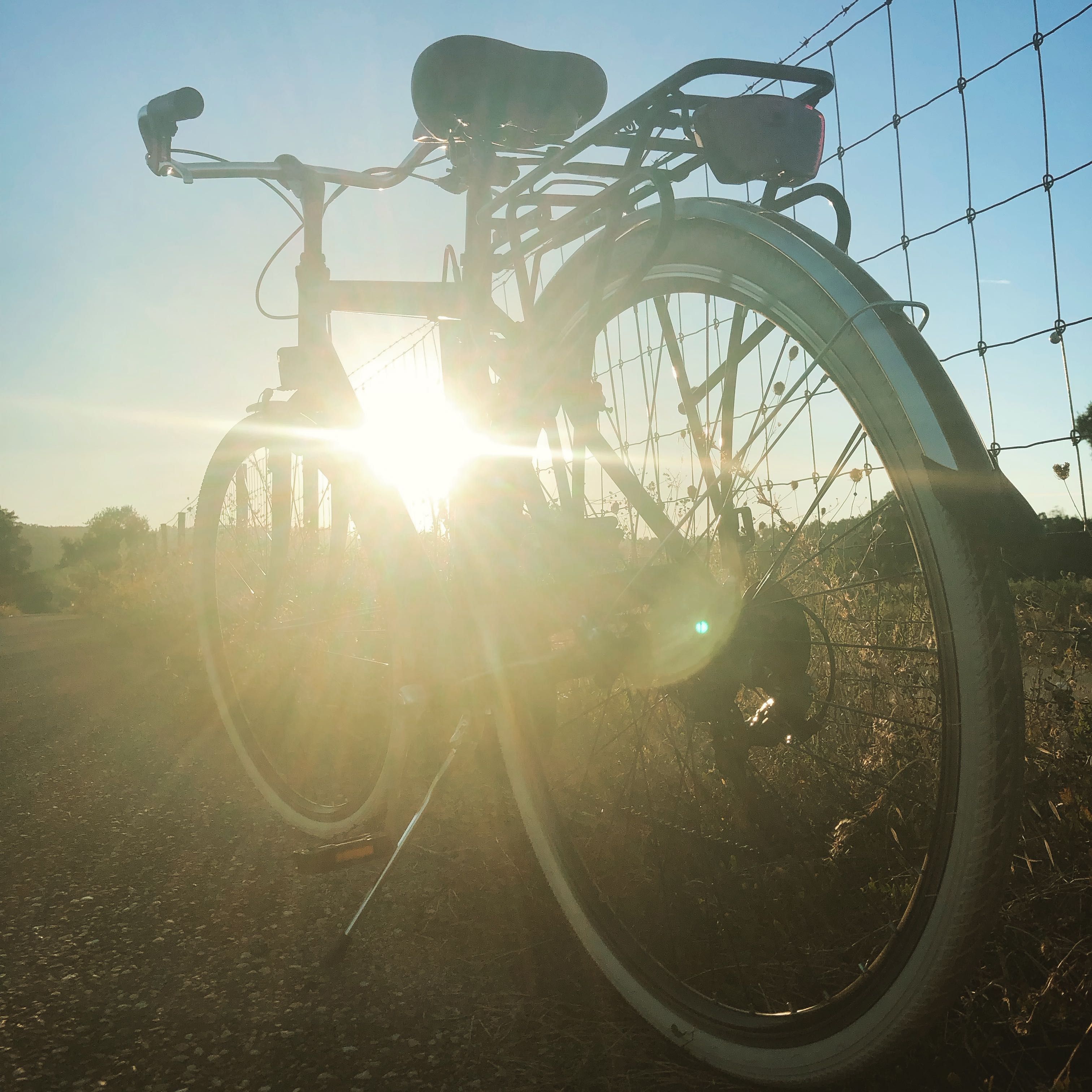 Bicicleta de 2023