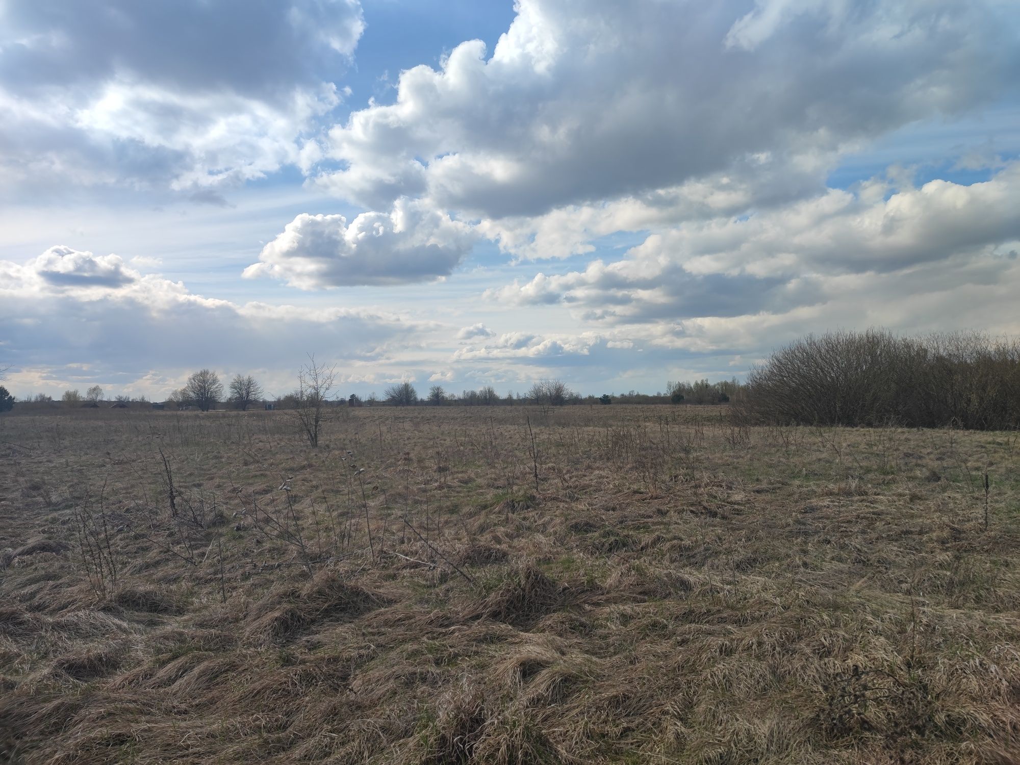 Проців, біля пляжу в районі Івана Кудрі. 25 соток друга лінія Павлівки