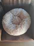 Cama para Gato/Cão Nova
