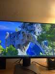 Monitor dell P2319H