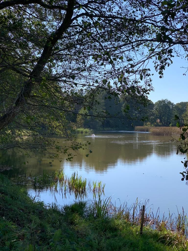 Działka linia brzegowa Narew Stawinoga blisko Serock - zamiana