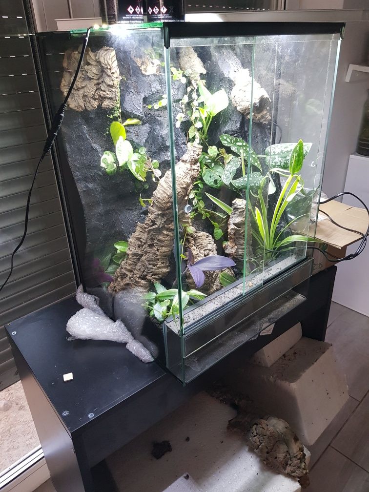 Terrarium 40x40x60 gekon