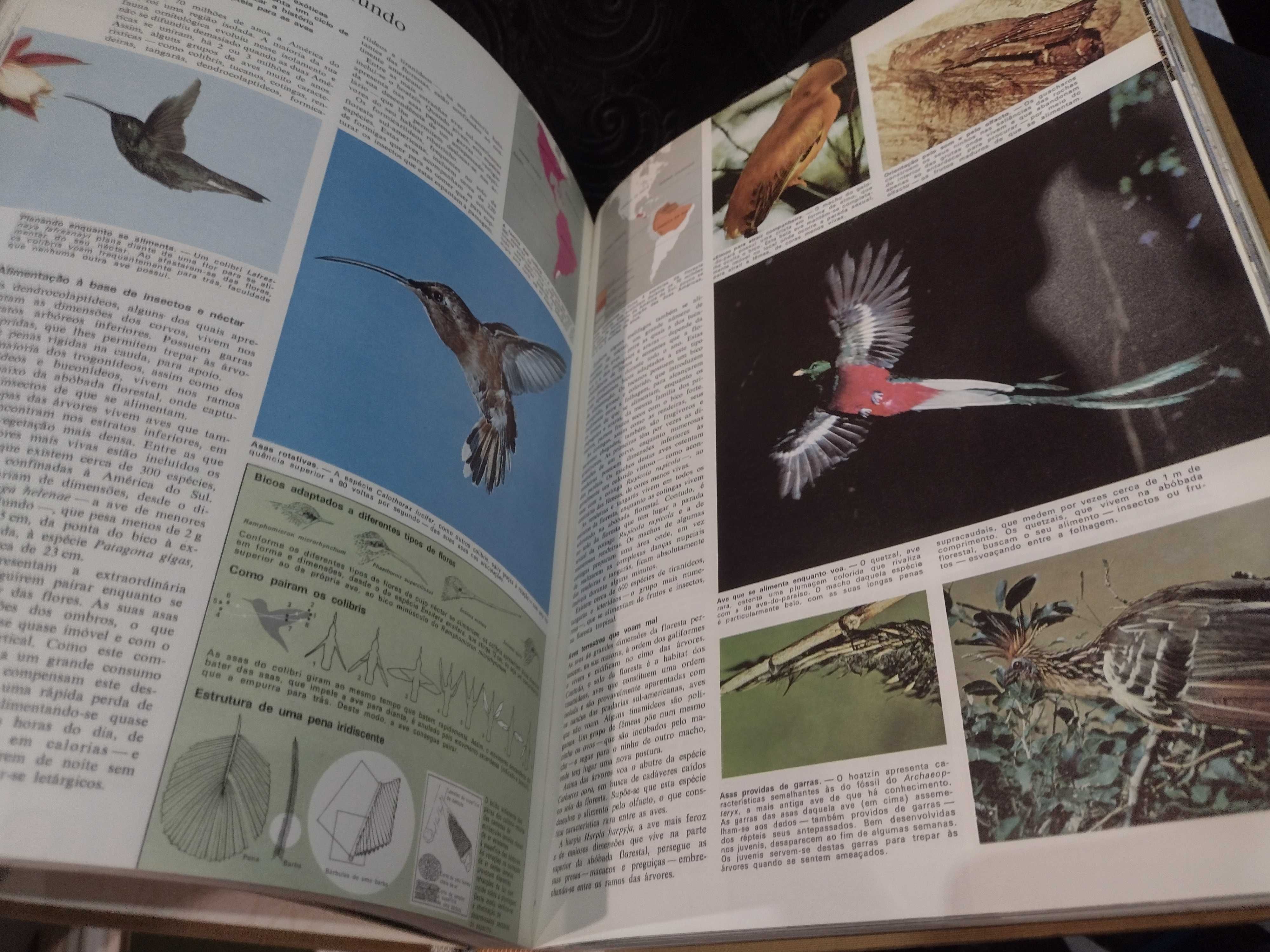 Livro Animais da Terra