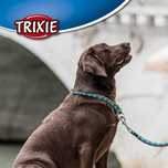 NOVO - Trixie Trela Cavo 100cm, 10 cores