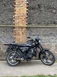 Alfa, fit Mustang 125