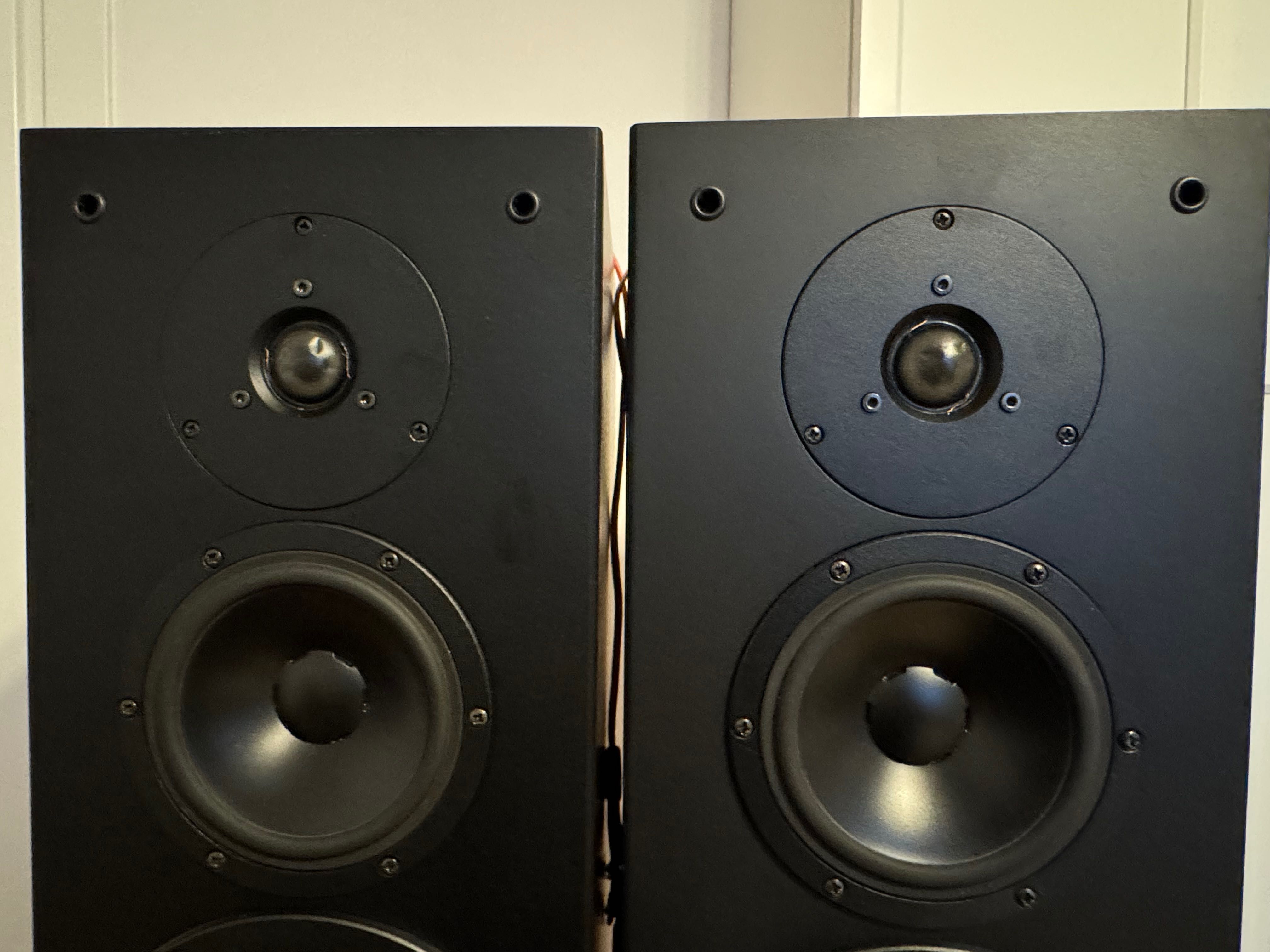 Dynaudio audience 82