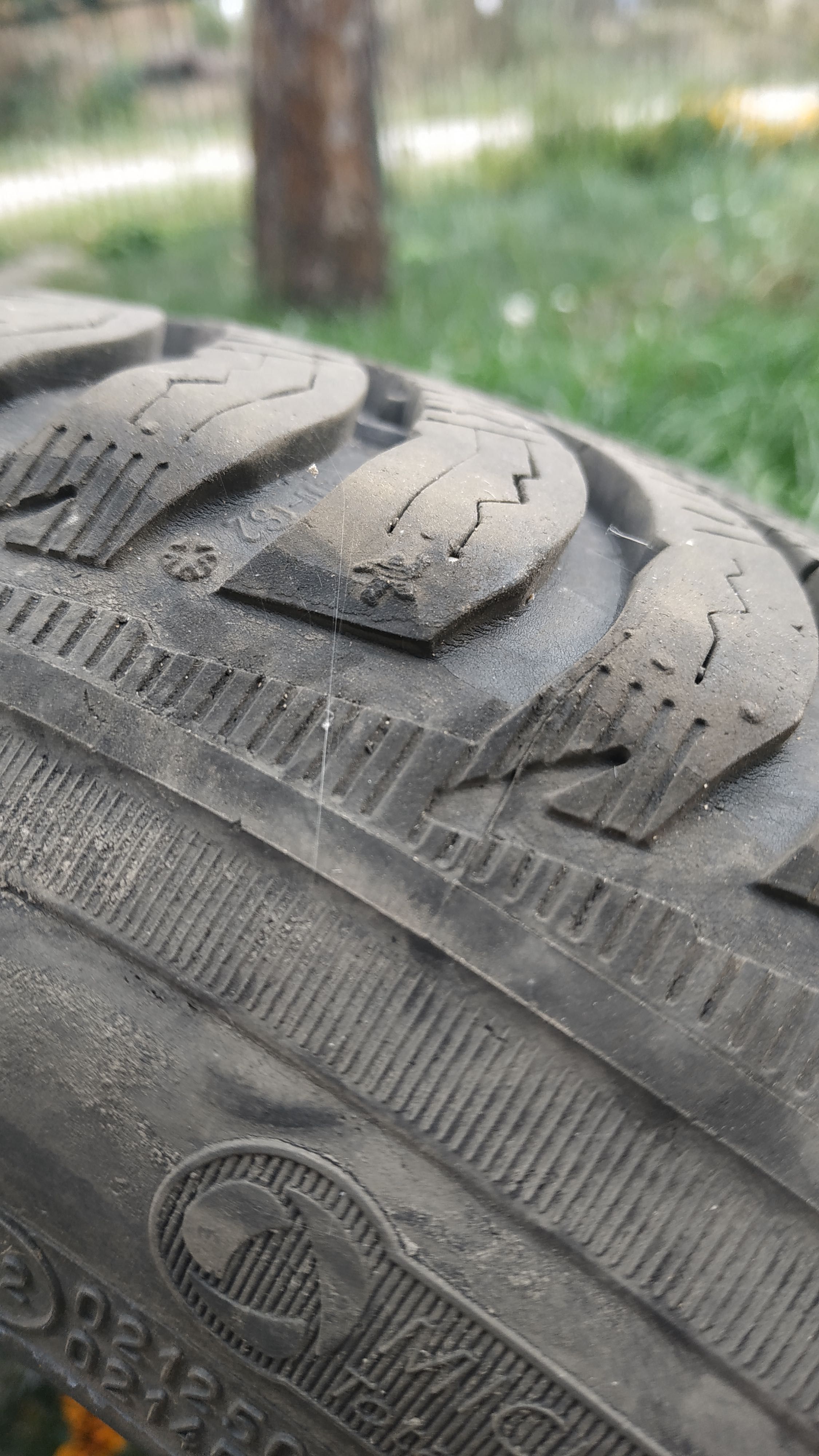 Шини зима Michelin Alpin 5 195/55 R16