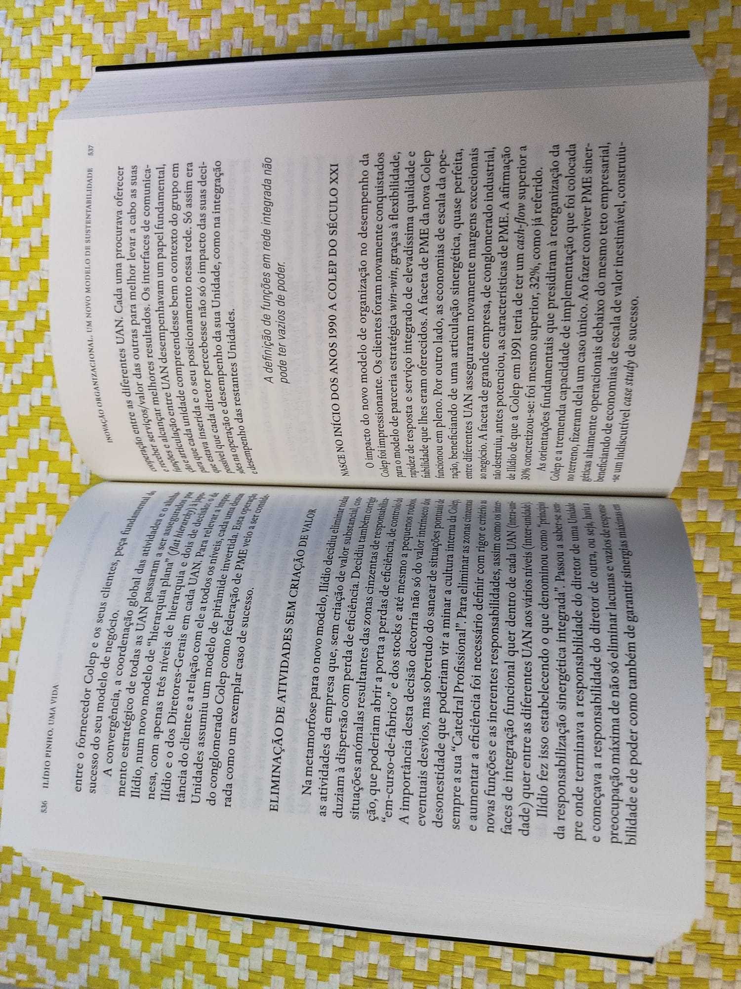 ILÍDIO PINHO - Uma Vida
O Empresário e a utilidade pública