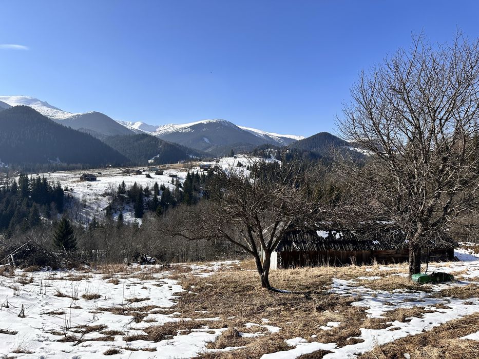 Земельні ділянки в Дземброні