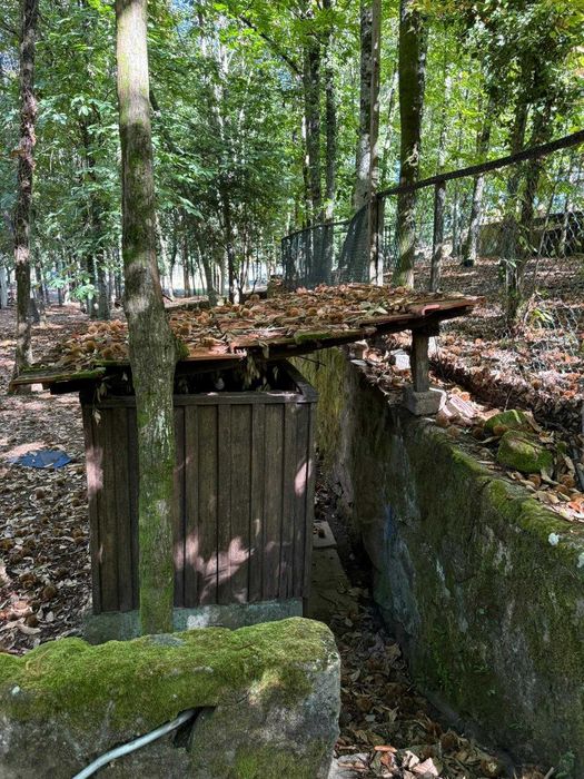 Espaço para Festas- Bosque do Choupal