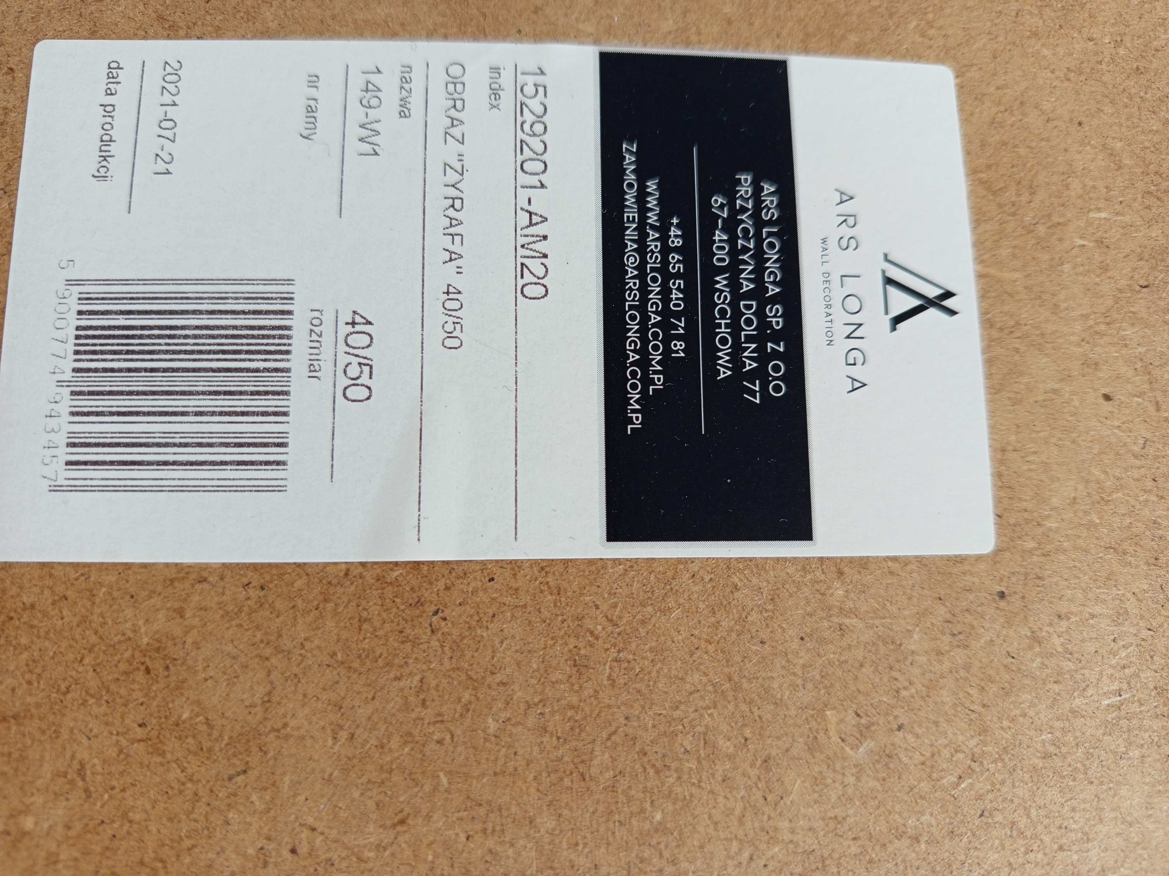 Obraz żyrafa rozmiar 40/50