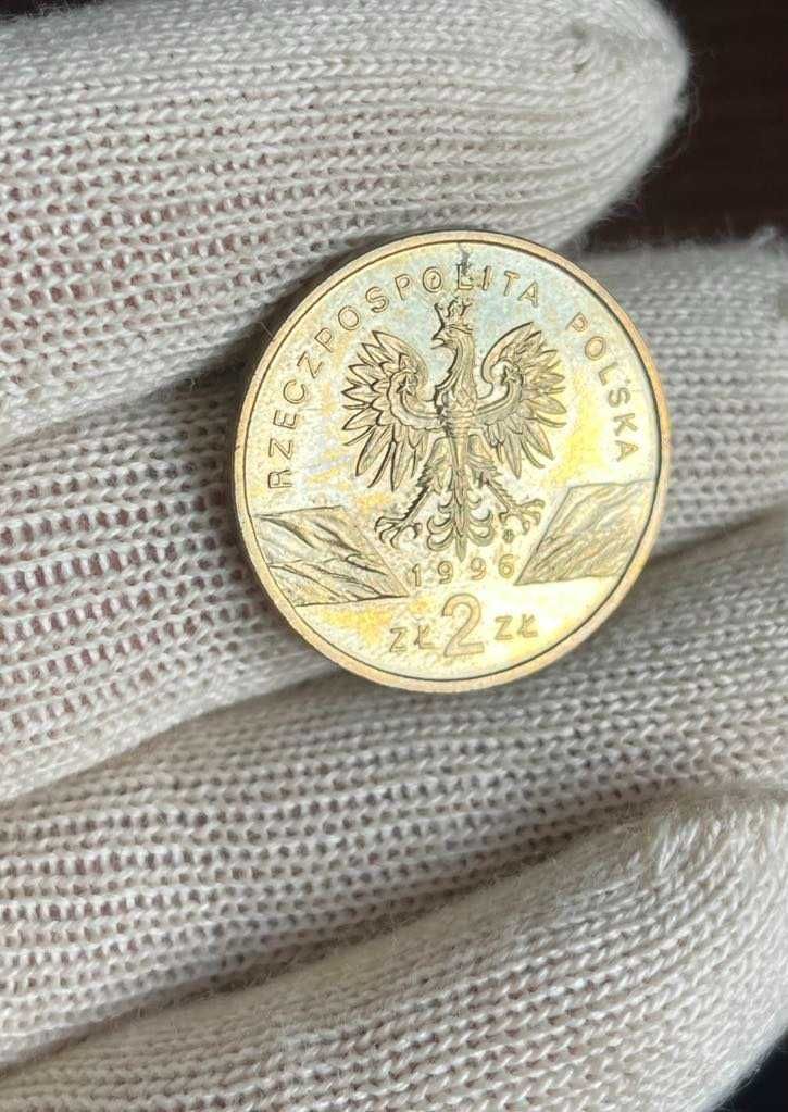 2 Złote Jeż 1996 NG Moneta
