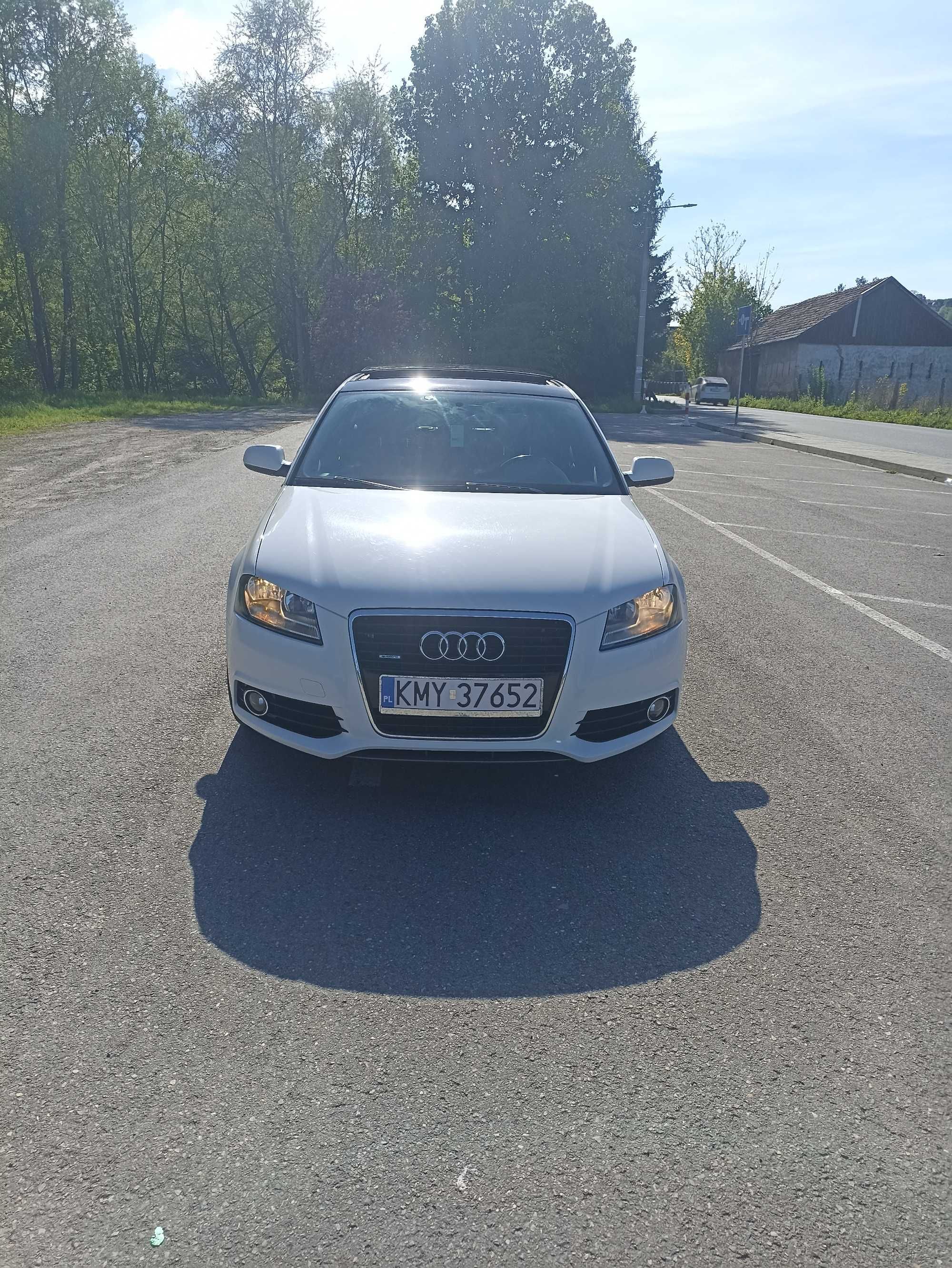Audi A3 8P 2011 2.0 TDI