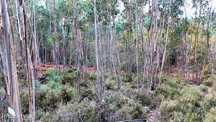 Terreno  para venda