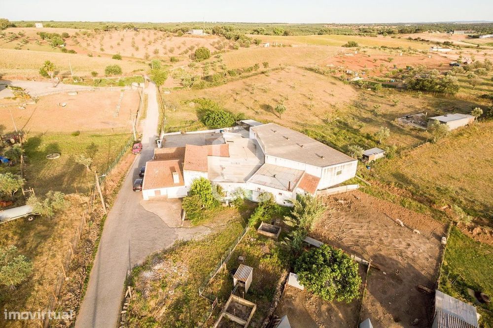 Quinta de 8250 m2 com Moradia T3+1 e Armazém | Nossa Sra. de Machede