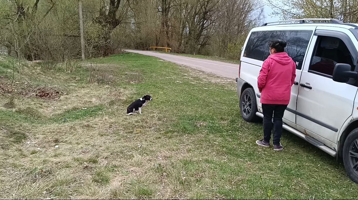 Невеличка дівчинка в Родину! З неймовірними очима!