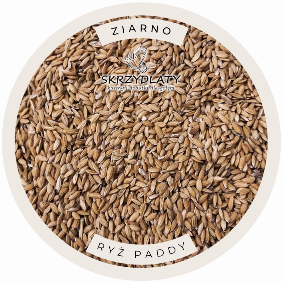 Ryż Paddy 1kg Ziarno