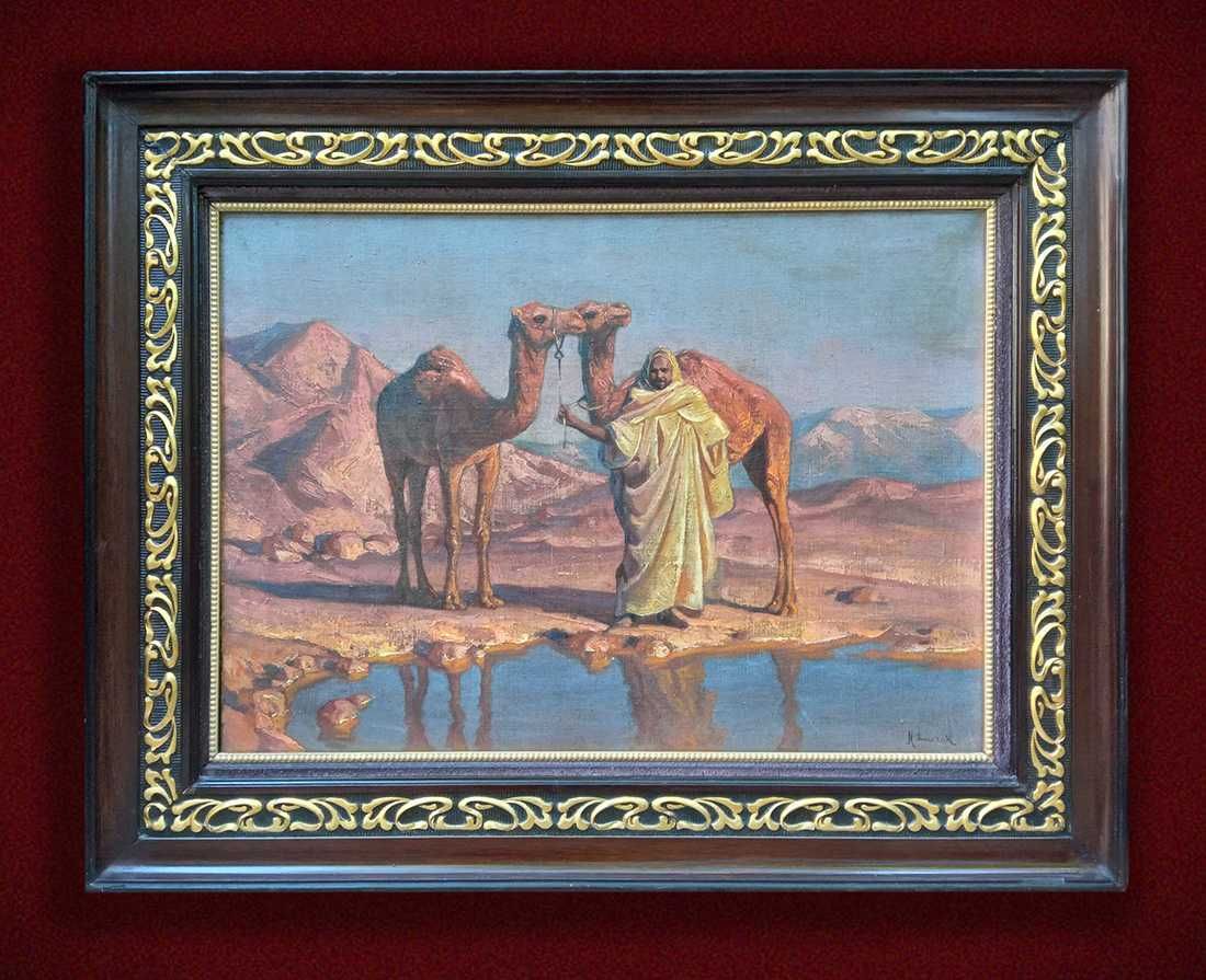 Arab z wielbłądami w świetle zachodzącego słońca
