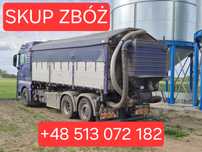 Skup zboża z własnym transportem cała Polska