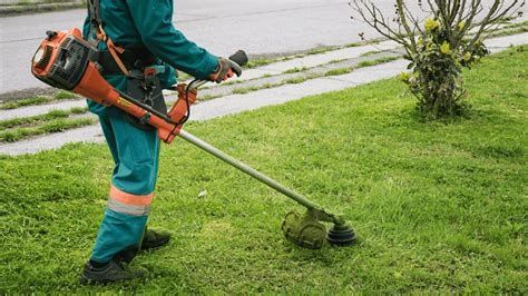 Serviço de Jardinagem e limpeza de terrenos bate de artes plantar árv