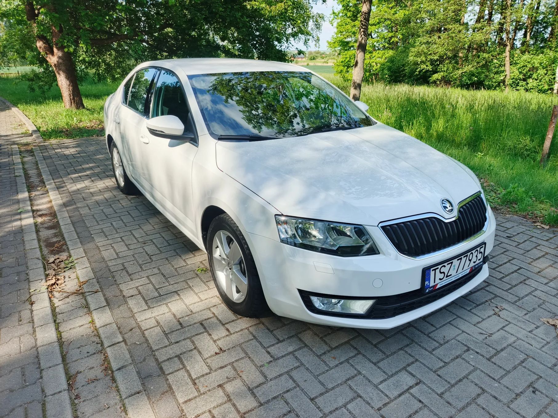 Skoda Octavia 1.6 TDI , mały przebieg, sprowadzony, zarejestrowany.