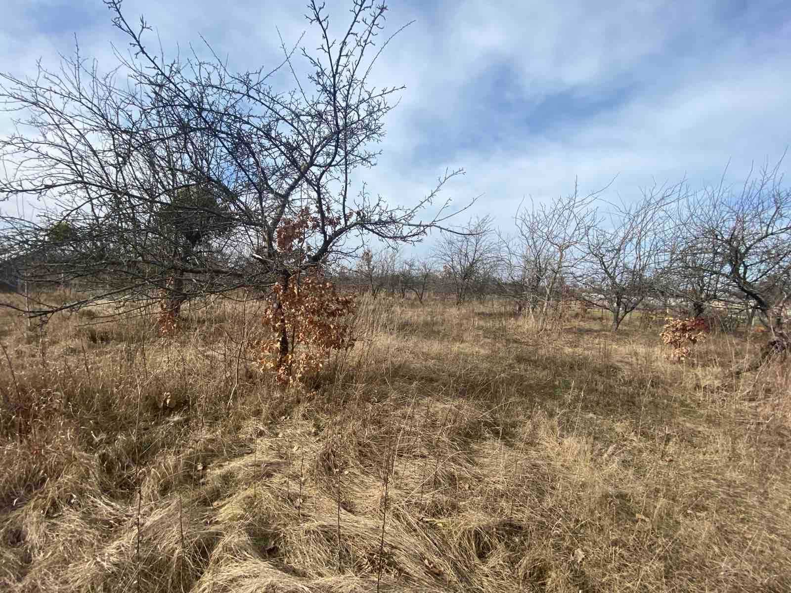 Продаж ділянки під житлову забудову на вул. Алеї, площа 14 соток