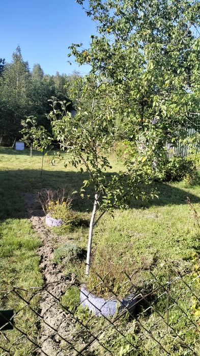 Дача Бобровський масив 1