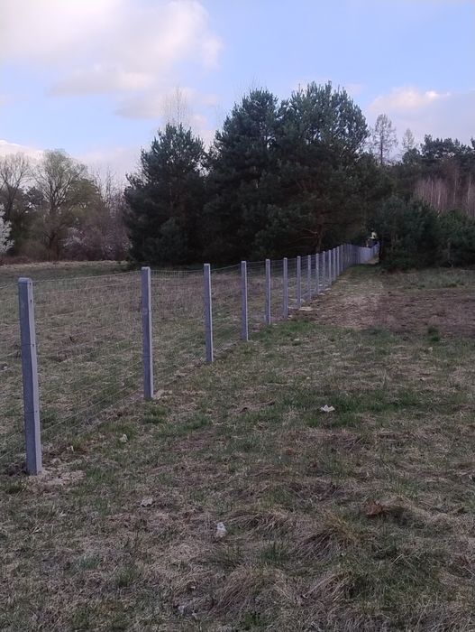 Ogrodzenia z siatki leśnej