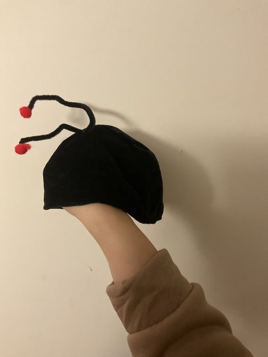 Костюм божої корівки