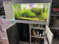 Akwarium Aquael 125 l opiwhite - zestaw