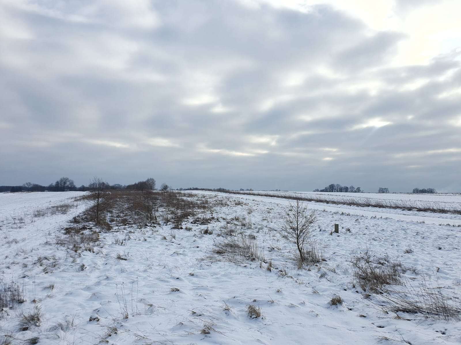 Działka rolno-budowlana Nowa Wieś Szlachecka1,64ha