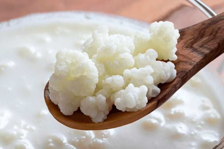 Kefir de leite para comida saudável