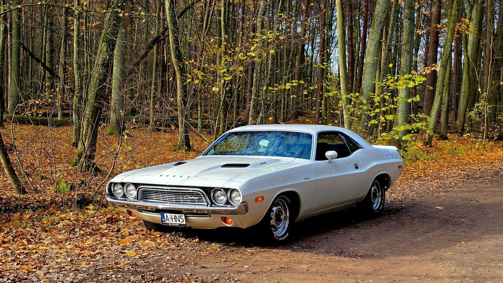 Dodge Challenger Dodge Challenger 1972 440' Big Block 7.2L Znikający Punkt American Mus