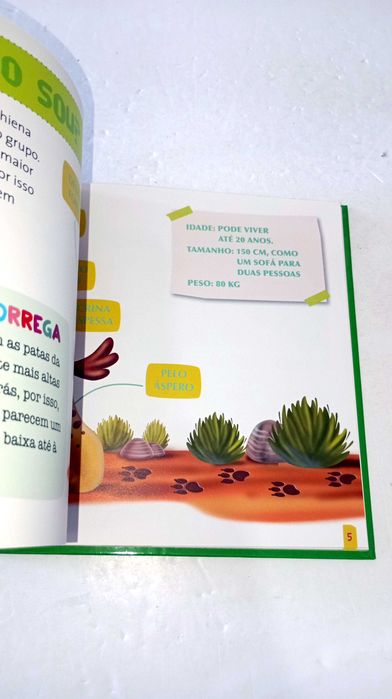 Fisi, a Hiena - Os meus animais do Zoo