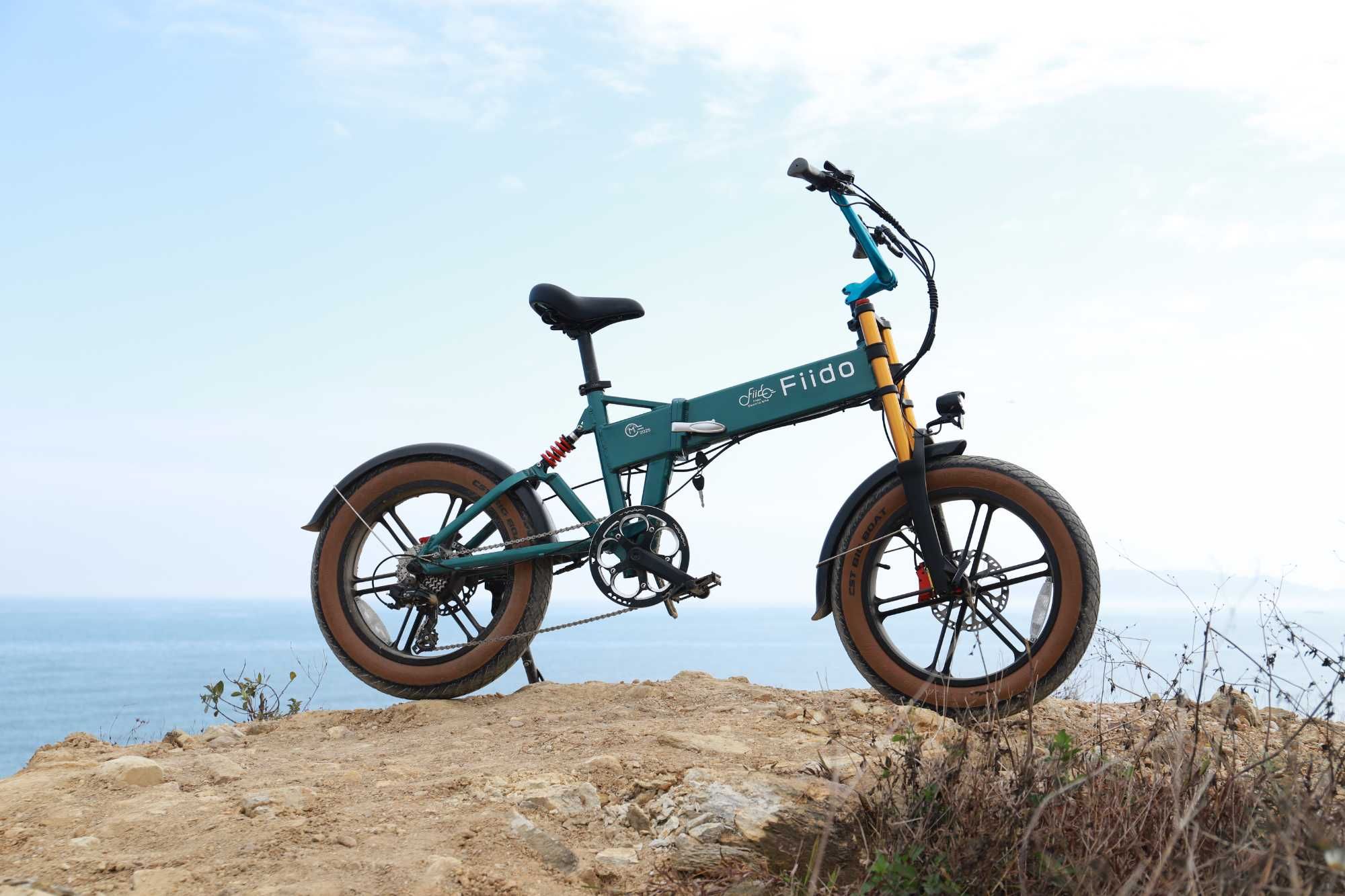 Bicicleta Elétrica Fiido M1 Pro - 2025