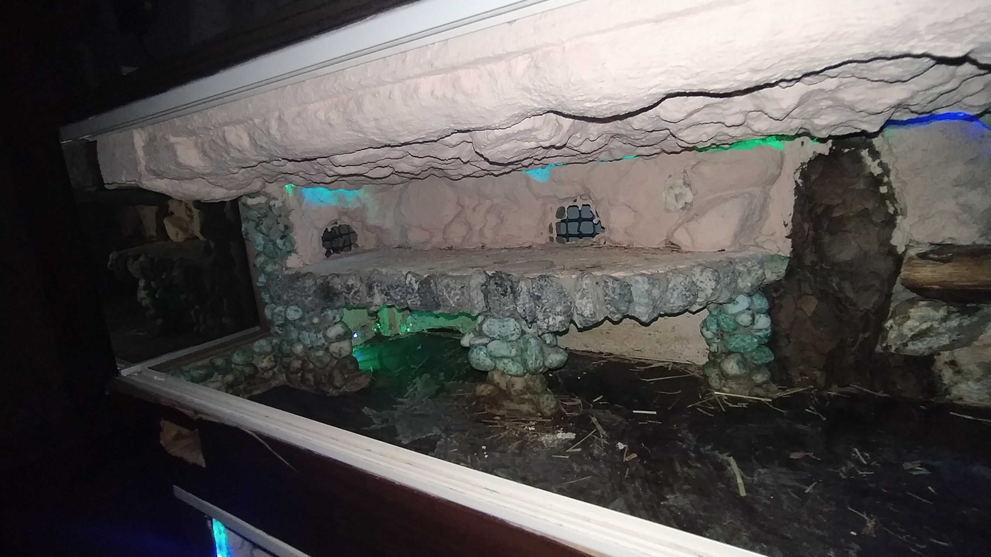 Terrarium dwupoziomowe-Nowa Cena