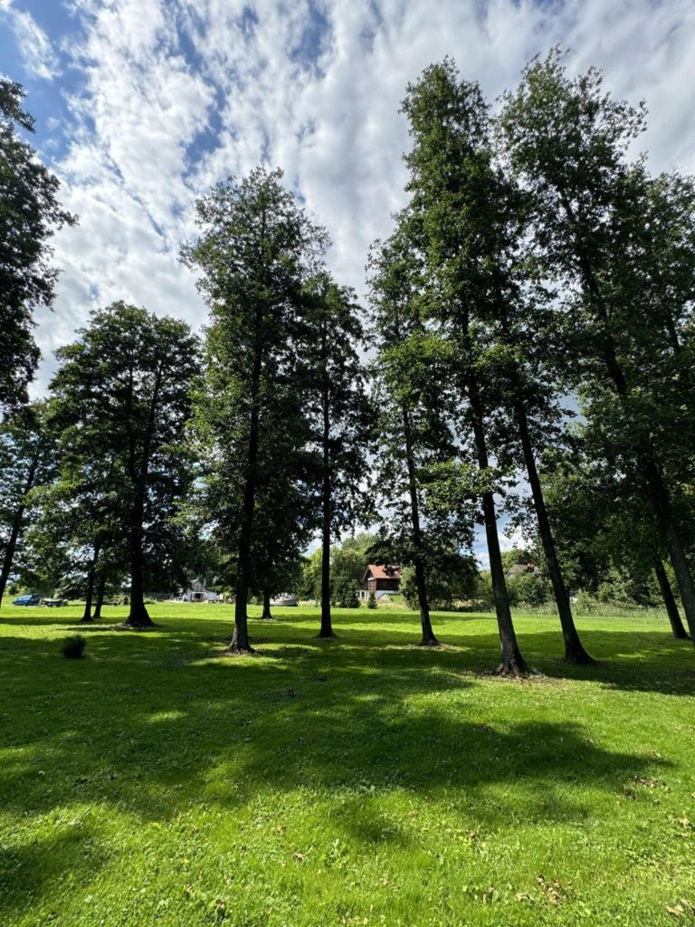 Domek do wynajęcie Mazury , linia brzegowa, pomost , plaża plaża