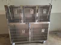 Módulo de 5 jaulas para clinica veterinaria