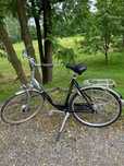 Rower Damka Gazelle